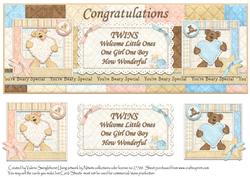 Congratulations Twins One of Each Boy/girl