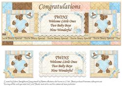 Welcome Twin Boys Large Dl Card Front