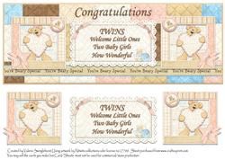 Welcome Twin Girls Large Dl Card Front