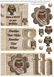 Have a Hoot on Your Birthday Owls18th Book Sheet
