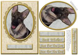German Shepherd Various Occasion Card Front