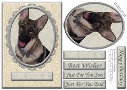 German Shepherd Cream/silver Various Occasion Card Front