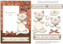 Cat's Whisker's Photo Card Front with Decoupage