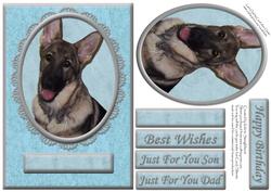 German Shepherd Blue/silver Various Occasion Card