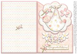 Congratulations New Baby Girl Over the Edge