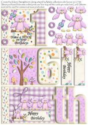 Pink Have a Hoot on Your Birthday 16th Number Book