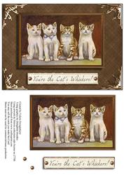 Attention You're the Cat's Whisker's! Vintage Card Front