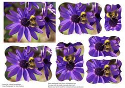 Beautiful Purple Flower with Bee Decoupage Sheet