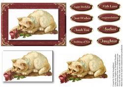 Cute Cat with Rose Card Front & Various Sentiments