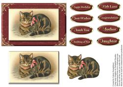 Cute Cat with Pink Bow Card Front & Various Sentiments