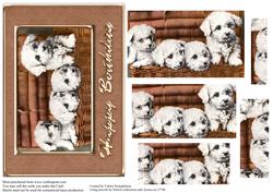 4 Cute White Puppies in a Basket Pyramid Card Front