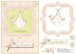 A Baby Girl Congratulations Card Front