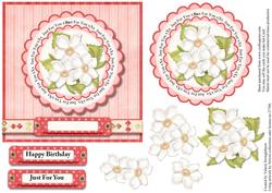 Happy Birthday or Just for You Floral Card Front