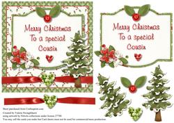 Merry Christmas to a Special Cousin Card Front