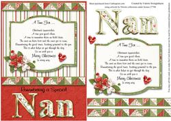 Remembering a Special Nan Christmas Card Front with Verse