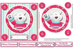 Polar Bear Framed Christmas Card Front Various Sentiments