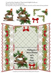 Robin on Birdhouse Christmas Cracker Shaped Card