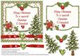 Merry Christmas to a Special Grandma & Grandad Card Front