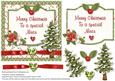 Merry Christmas to a Special Niece Card Front