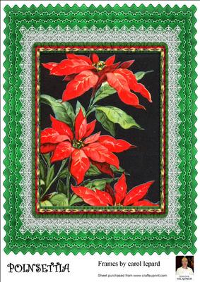 A4 Poinsettia