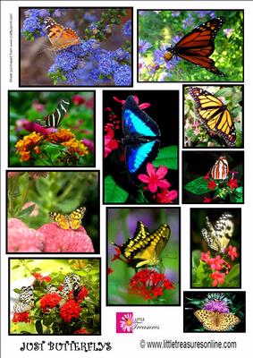 Just Butterflys