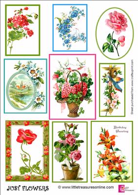 Just Flowers