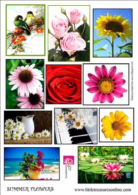 Summer Flowers