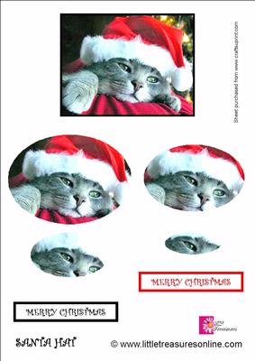 Santa Hat Christmas