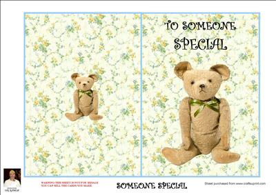 Someone Special-cut N Fold 5x7 Card
