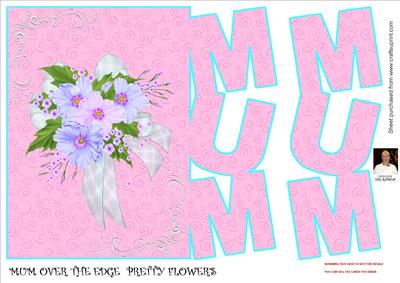 Mum Over the Edge Pretty Flower's