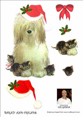 Barny and Friends Christmas
