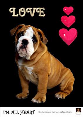 A4 I'm All Heart