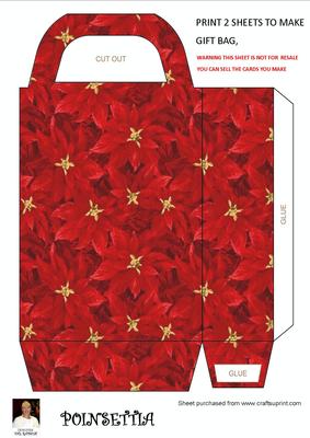 Poinsettia Christmas Gift Bag