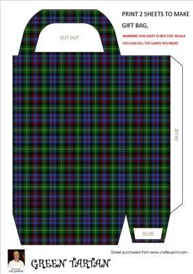 Green Tartan Gift Bag