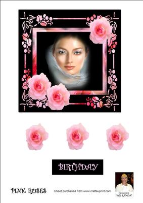 Pink Roses