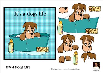 It's a Dogs Life