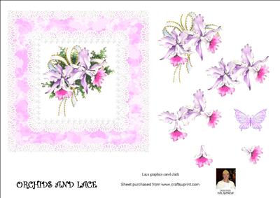 Orchids and Lace