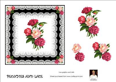 Peonyie's and Lace