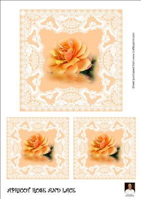 Apricot Rose and Lace