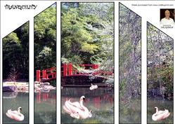 Tranqulity-theatre Fold Card