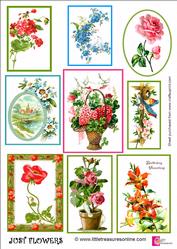 Just Flowers
