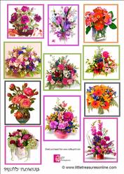 Pretty Flowers