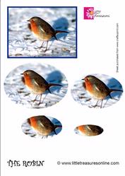 The Robin