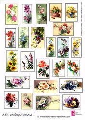 A.t.c. Vintage Florals