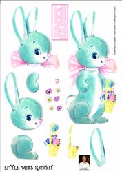 Little Miss Rabbit