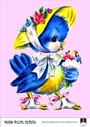 A4 Miss Blue Chick