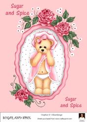 A4 Sugar and Spice