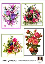 Flower Blooms