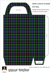 Green Tartan Gift Bag