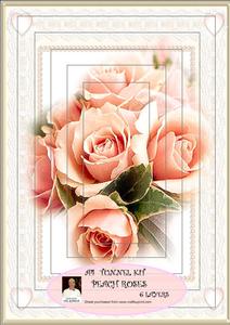 A4 Peach Roses Tunnel Kit